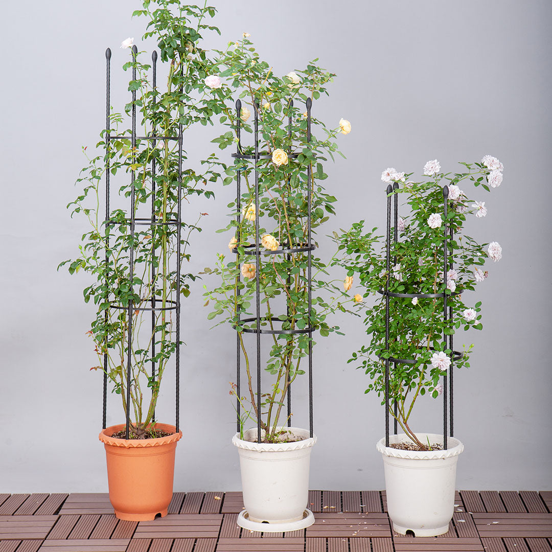 163cm 4-Bar Plant Frame Stand