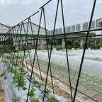 90cm Plant Frame Tube Trellis