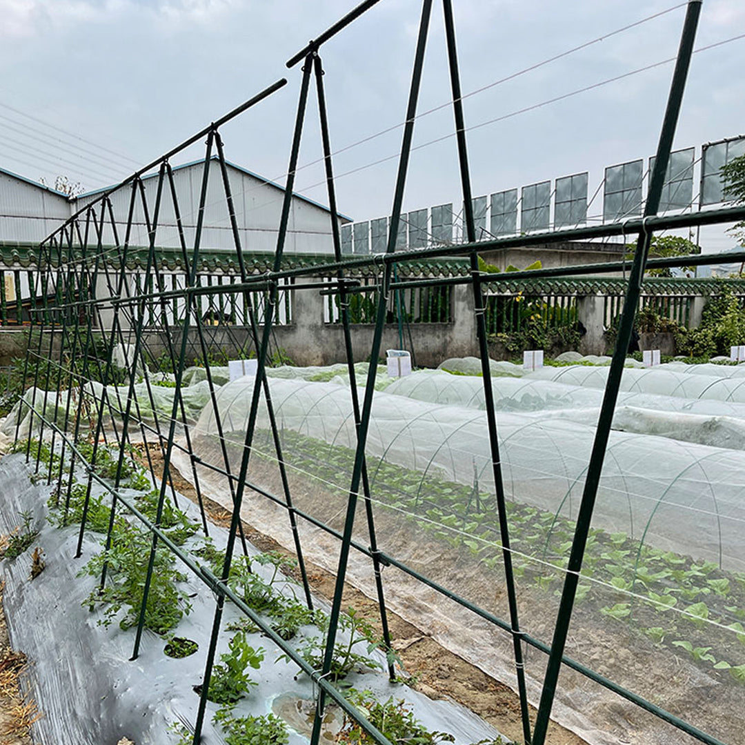 90cm Plant Frame Tube Trellis