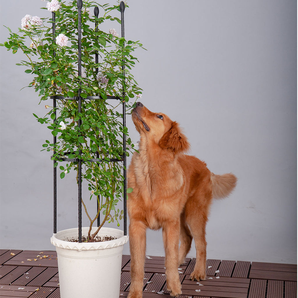 103cm 4-Bar Plant Frame Stand