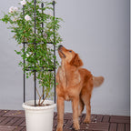 103cm 4-Bar Plant Frame Stand