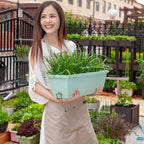 49.5cm Green Rectangular Vegetable Herb Flower Planter Box Set of 5