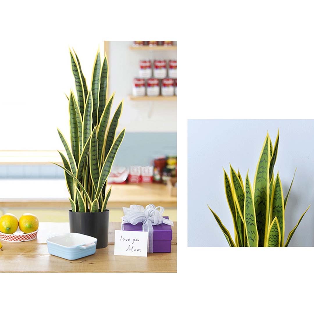 95cm Artificial Yellow Edge Tiger Piran Plant