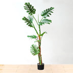 175cm Artificial Indoor Turtle Back Tree