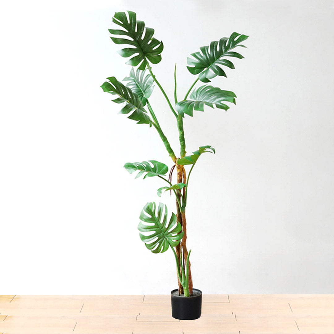 175cm Artificial Indoor Turtle Back Tree
