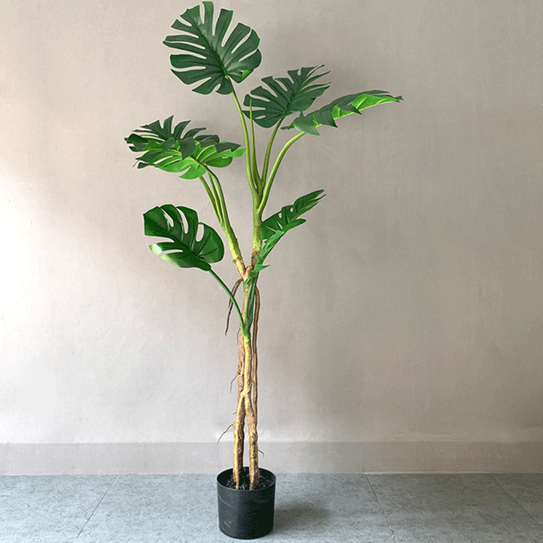 160cm Artificial Indoor Turtle Back Tree