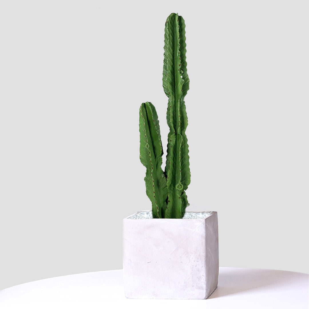 95cm Artificial Indoor Cactus Tree 2 Heads