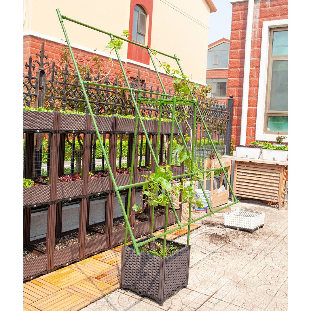 160cm Inclined Plant Frame