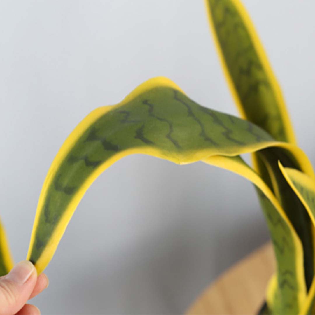 70cm Artificial Yellow Edge Tiger Piran Plant