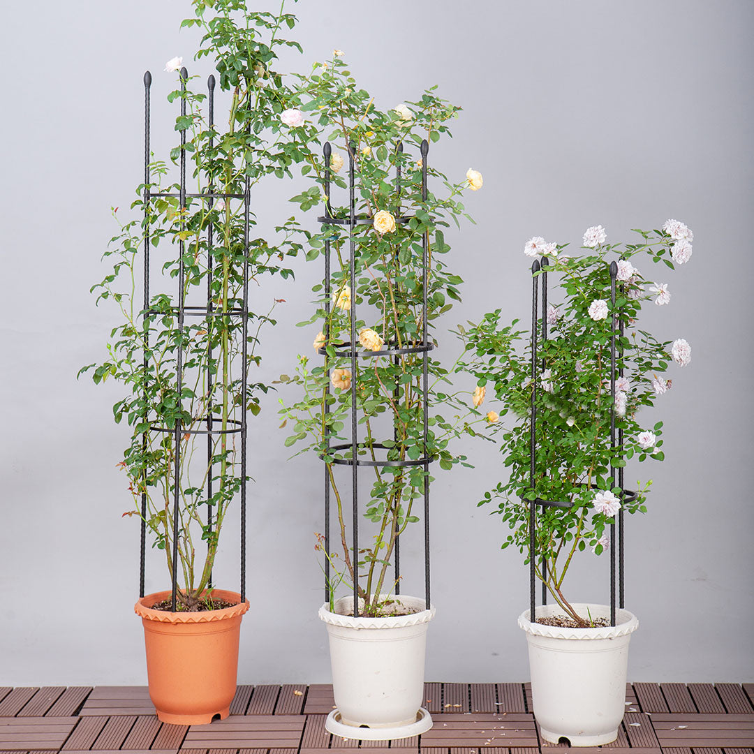 73cm 4-Bar Plant Frame Stand