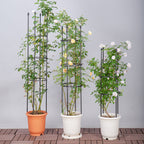 133cm 4-Bar Plant Frame Stand