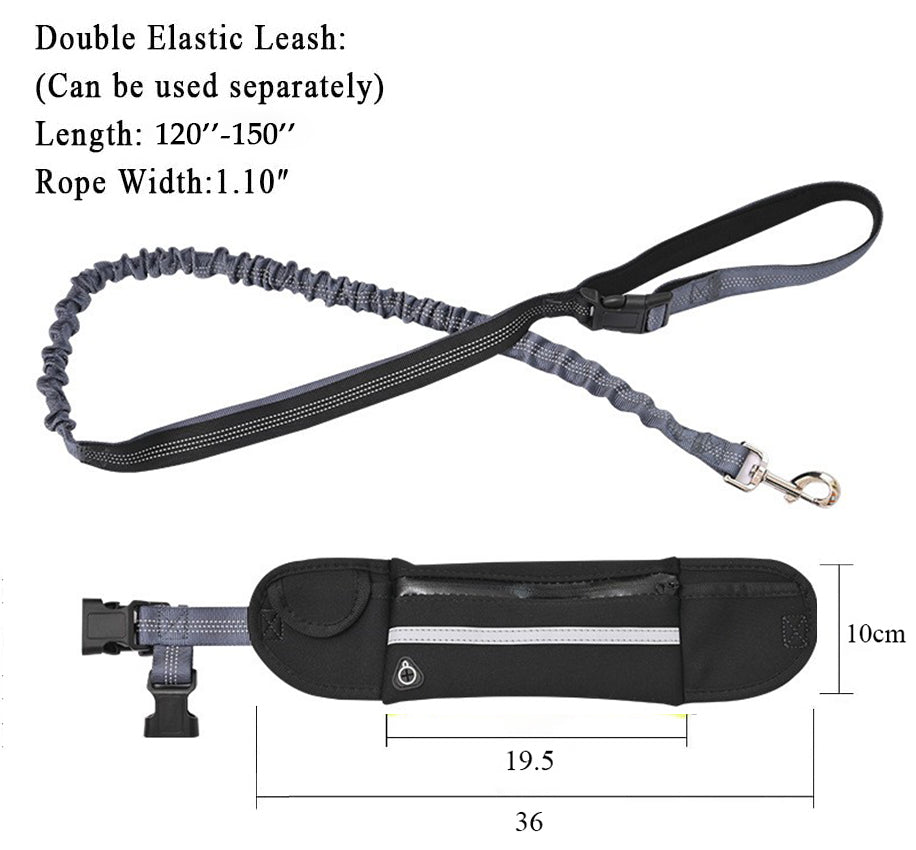 Black Adjustable Pet Leash