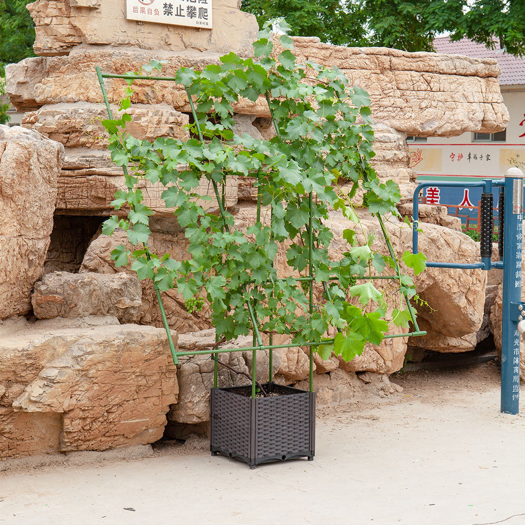 160cm Inclined Plant Frame