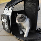 Black Portable Backpack Pet Carrier Breathable Mesh