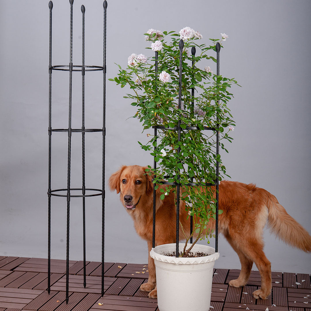 103cm 4-Bar Plant Frame Stand