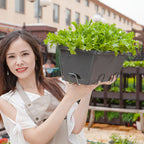 49.5cm Black Rectangular Vegetable Herb Flower Planter Box Set of 5