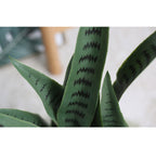 97cm Artificial Indoor Snake Sansevieria Plant