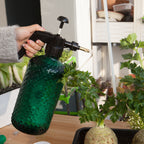 2L Handheld Water Spray Bottle with Top Pump
