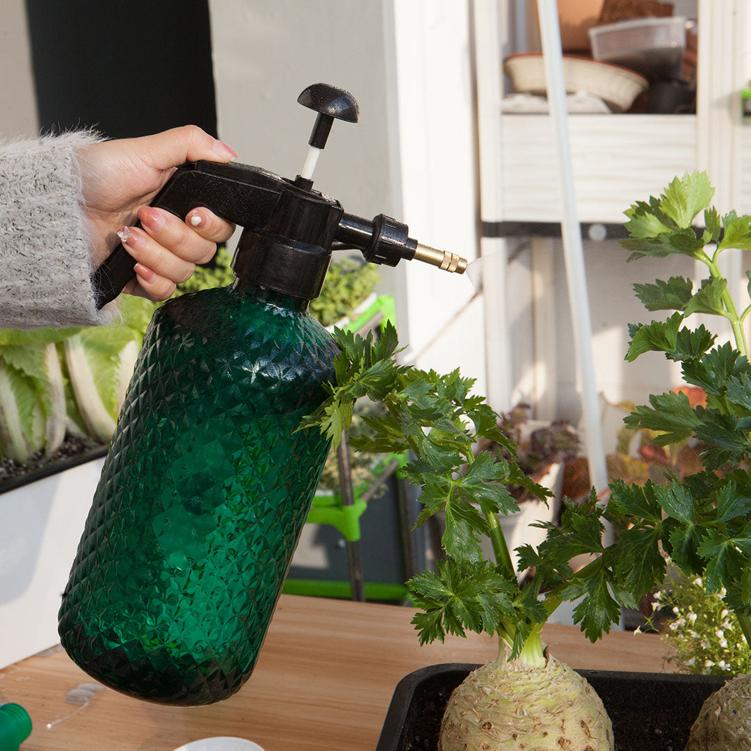 2L Handheld Water Spray Bottle with Top Pump