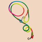 220cm Rainbow Multifunction Pet Leash