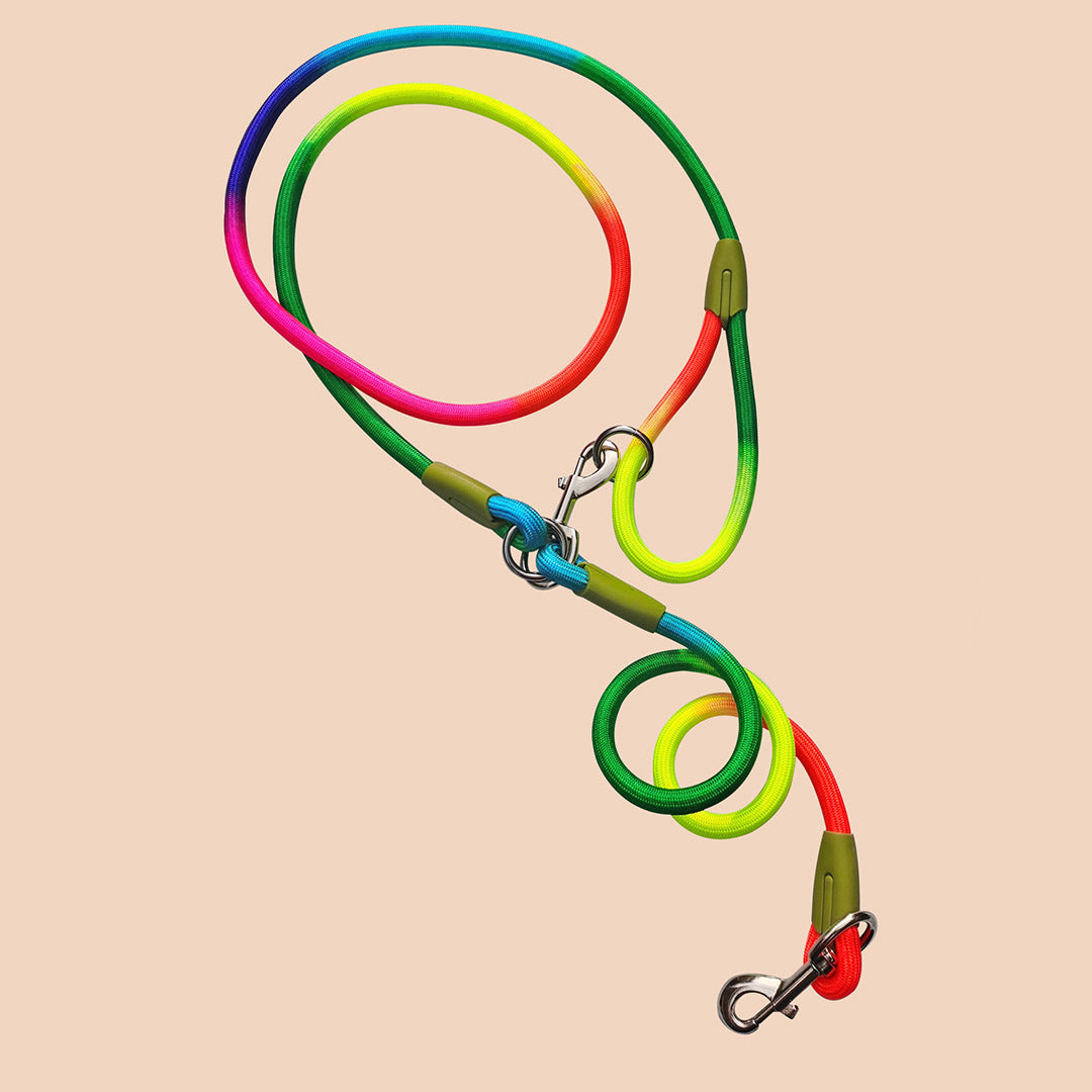 220cm Rainbow Multifunction Pet Leash