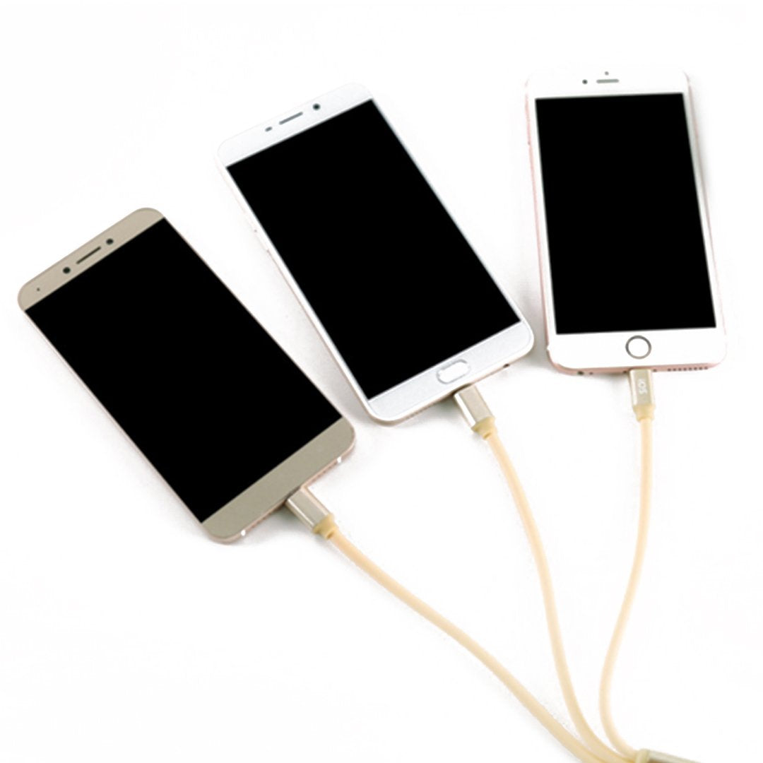 3 in 1 1.2M High Speed Charging Data Cable Silver