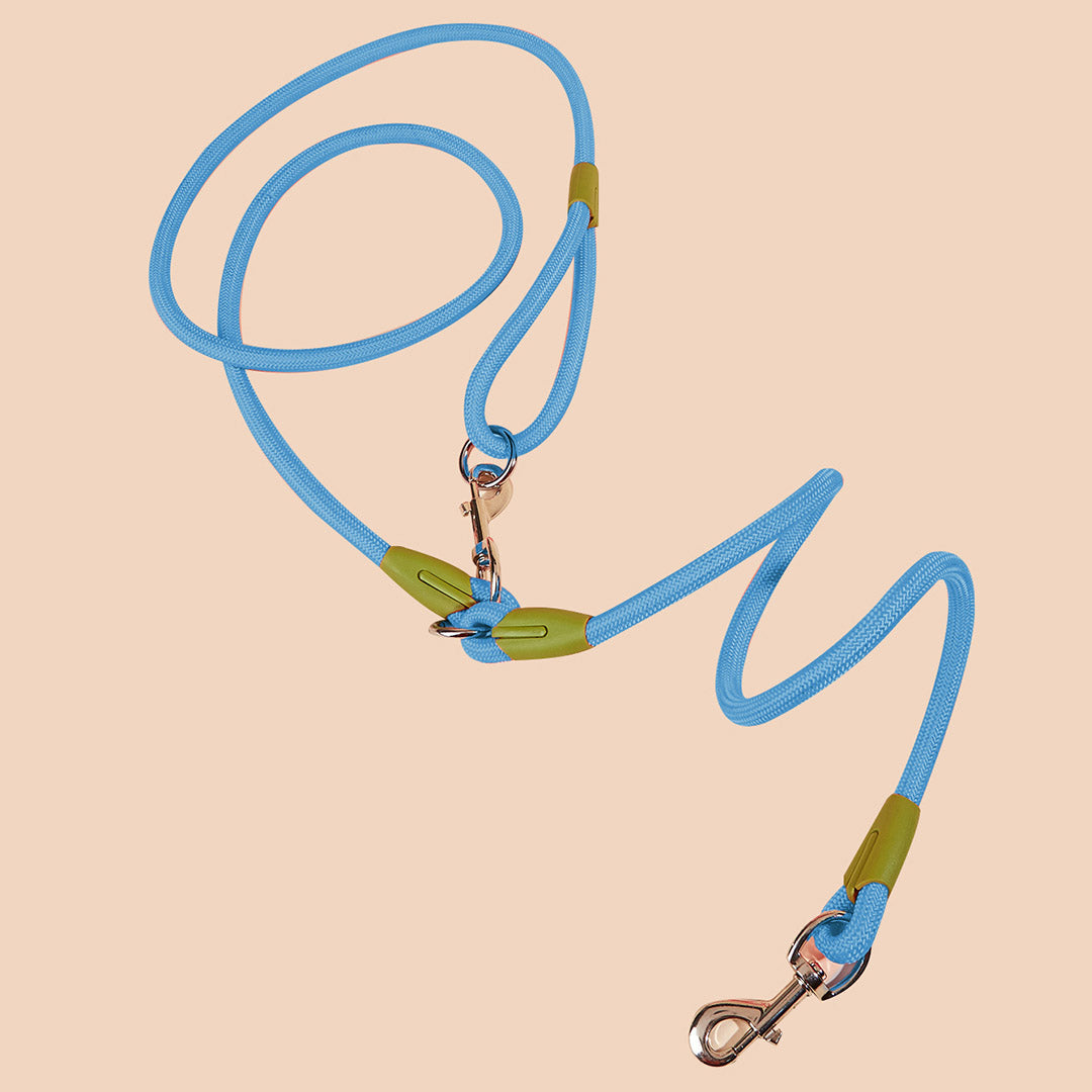 220cm Blue Multifunction Pet Leash