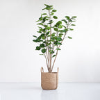180cm Artificial Indoor Pocket Money Tree