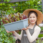 49.5cm Blue Rectangular Vegetable Herb Flower Planter Box Set of 5