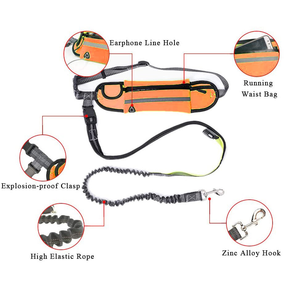 Orange Adjustable Pet Leash