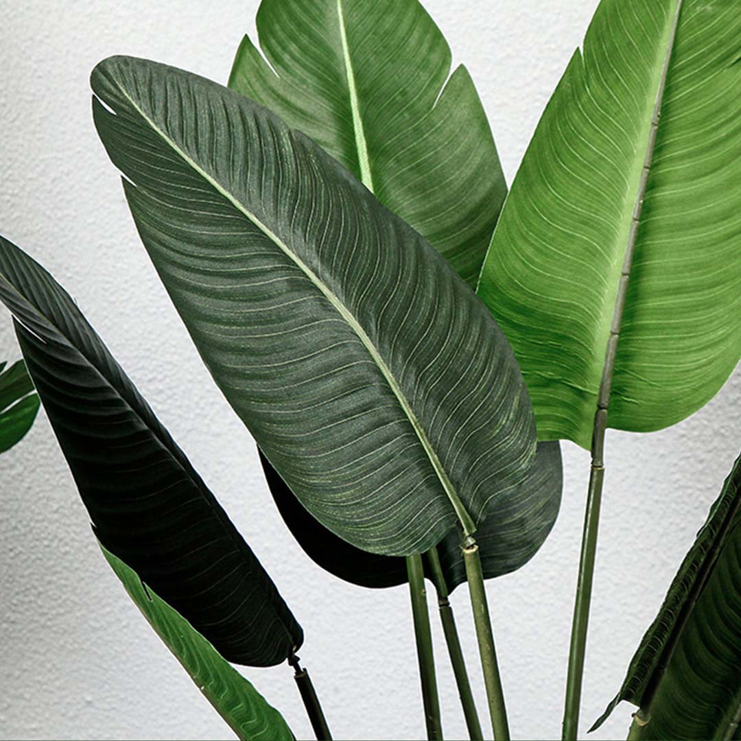 160cm Artificial Traveler Banana Plant