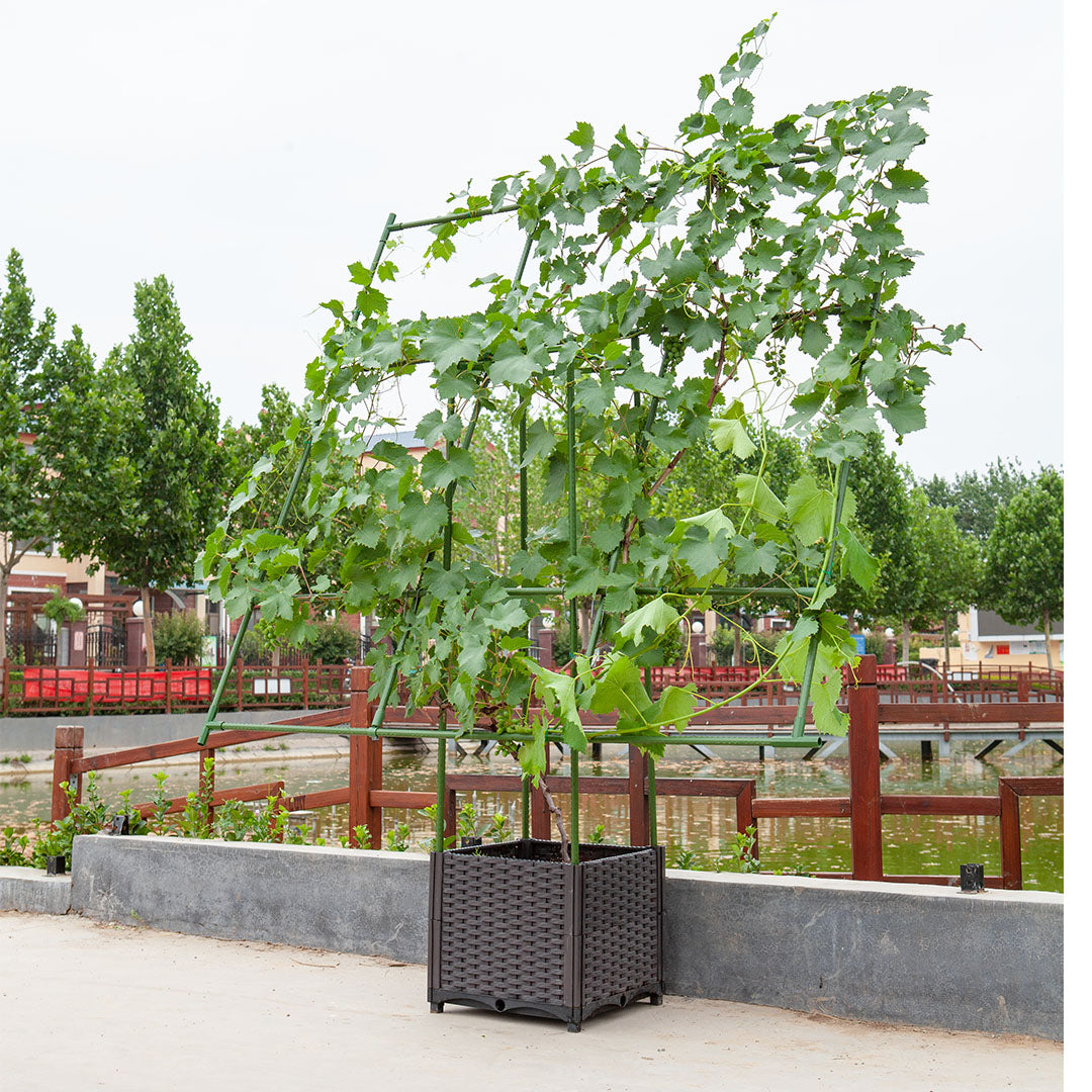 160cm Inclined Plant Frame