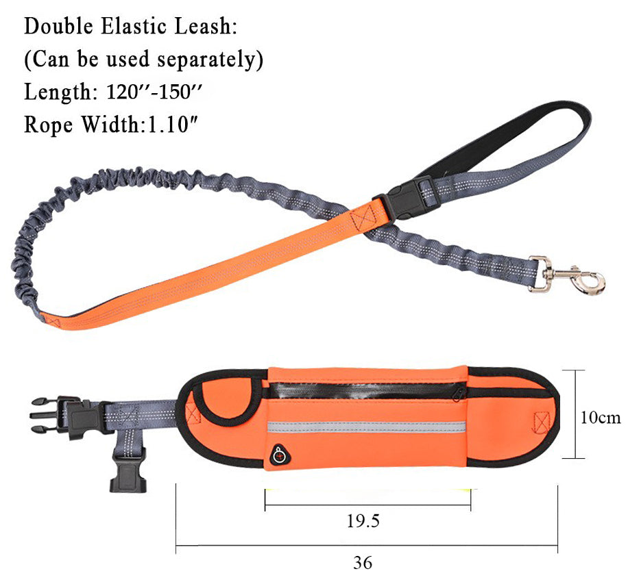 Orange Adjustable Pet Leash