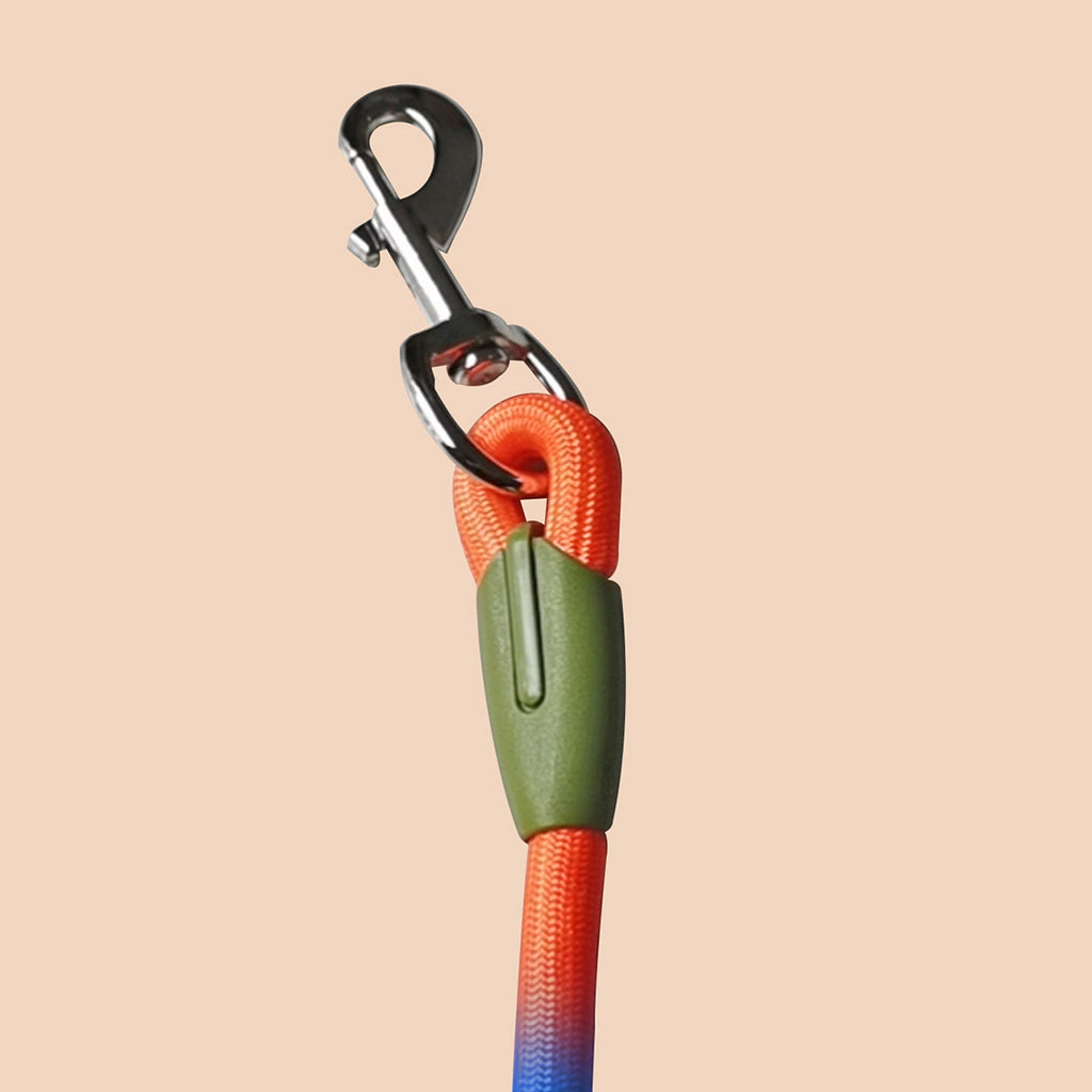 220cm Rainbow Multifunction Pet Leash