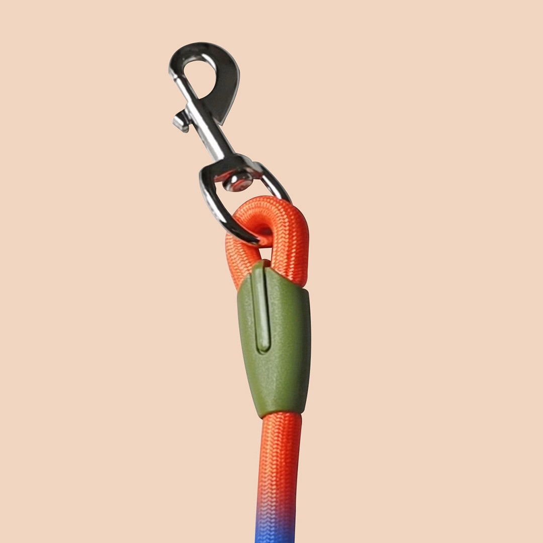 220cm Rainbow Multifunction Pet Leash