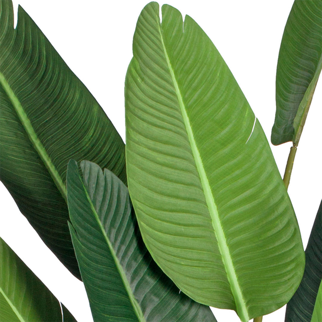 245cm Birds of Paradise Artificial Plant