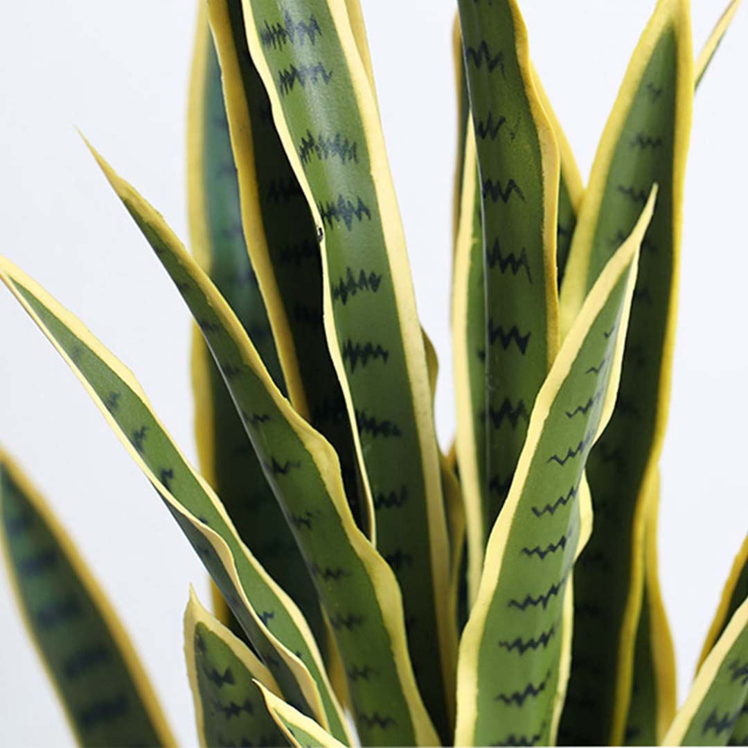 70cm Artificial Yellow Edge Tiger Piran Plant