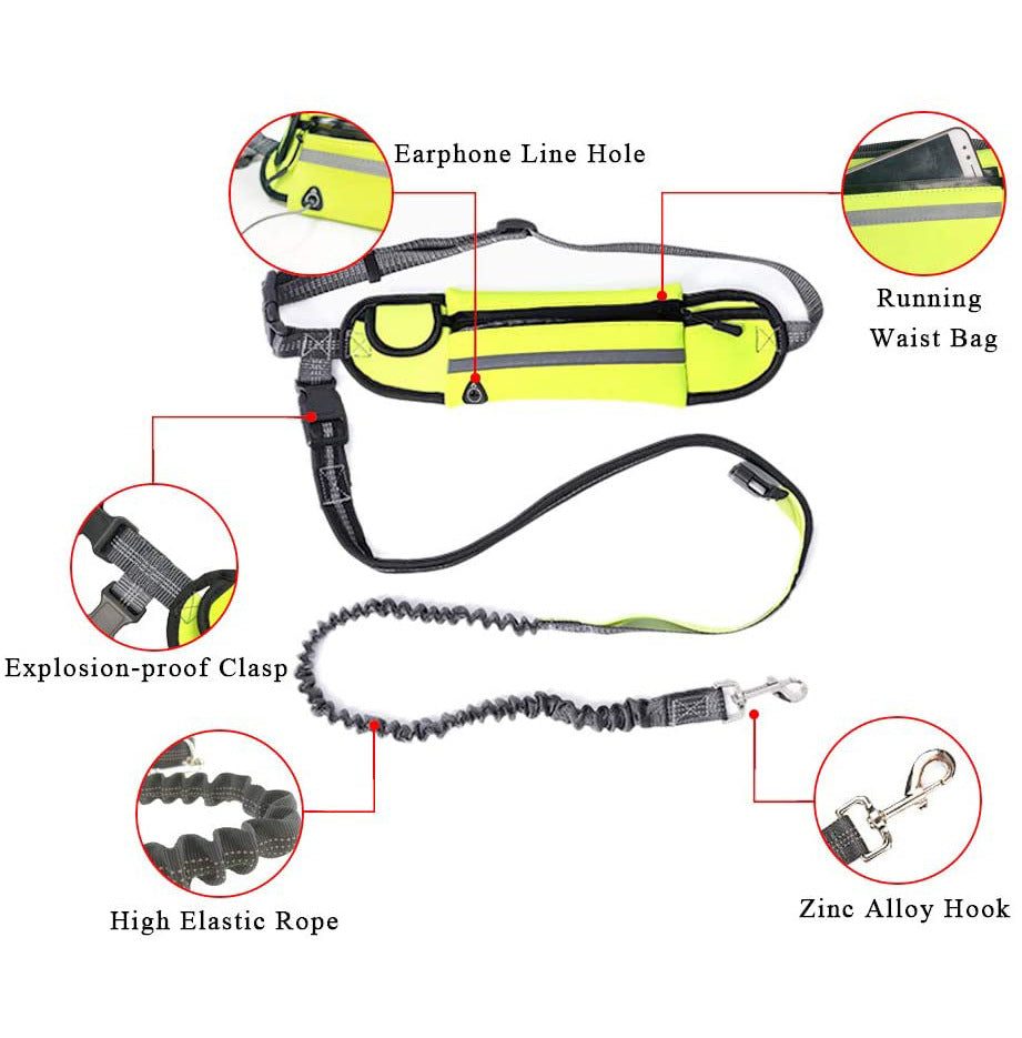 Black Adjustable Pet Leash