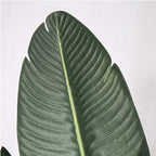 160cm Artificial Traveler Banana Plant