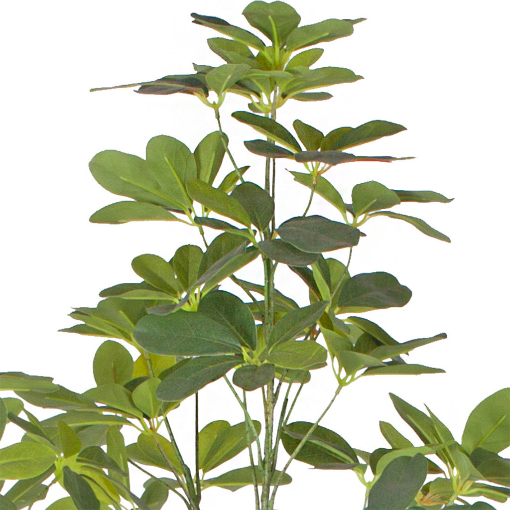 160cm Schefflera Artificial Plant