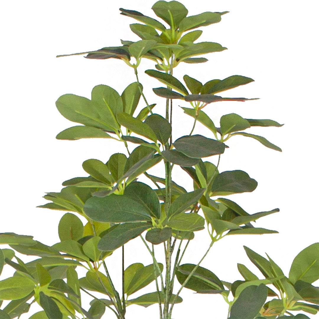 160cm Schefflera Artificial Plant