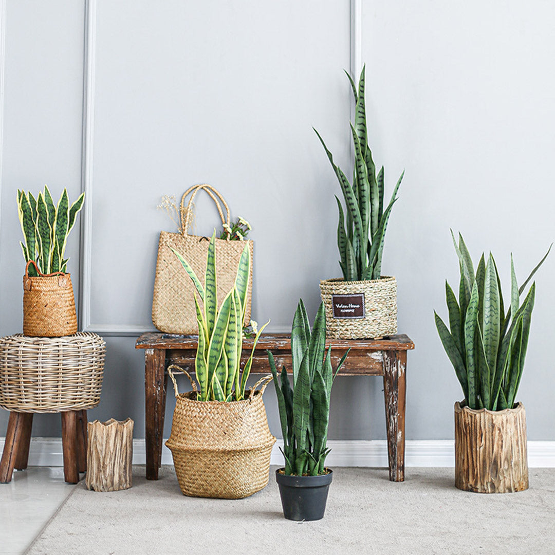 97cm Artificial Indoor Snake Sansevieria Plant