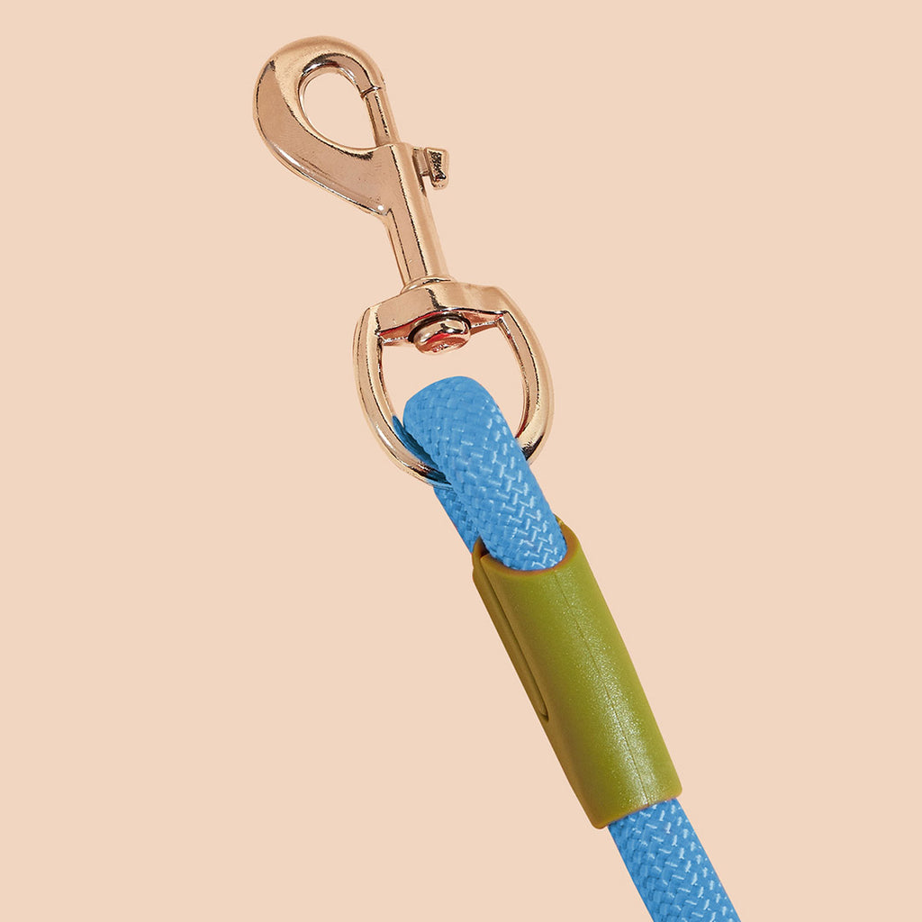 220cm Blue Multifunction Pet Leash