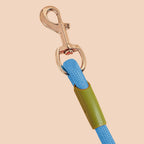 220cm Blue Multifunction Pet Leash