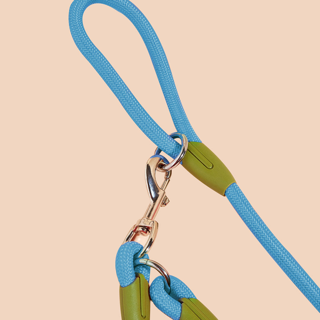 220cm Blue Multifunction Pet Leash