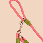 220cm Pink Multifunction Pet Leash