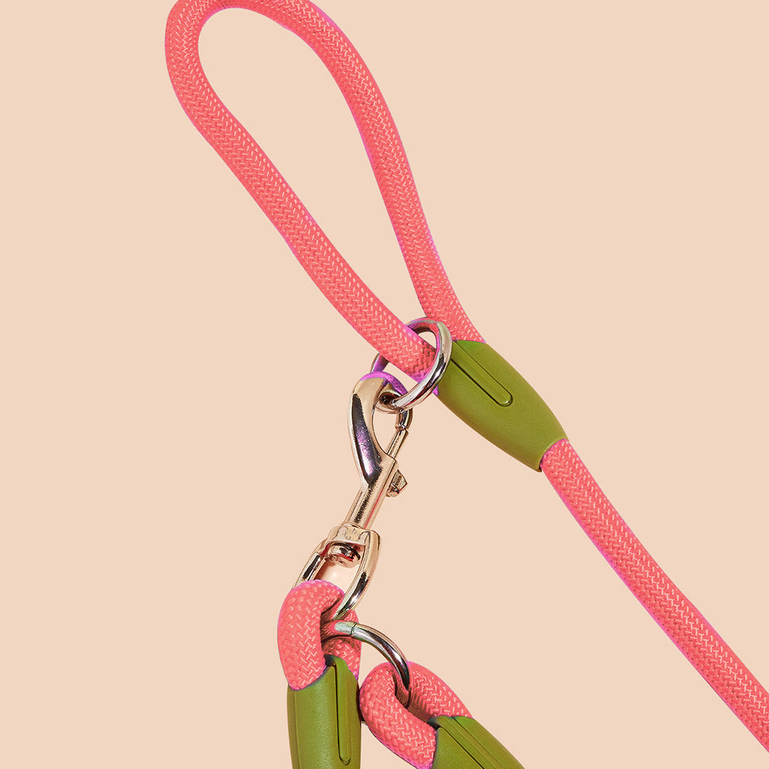 220cm Pink Multifunction Pet Leash
