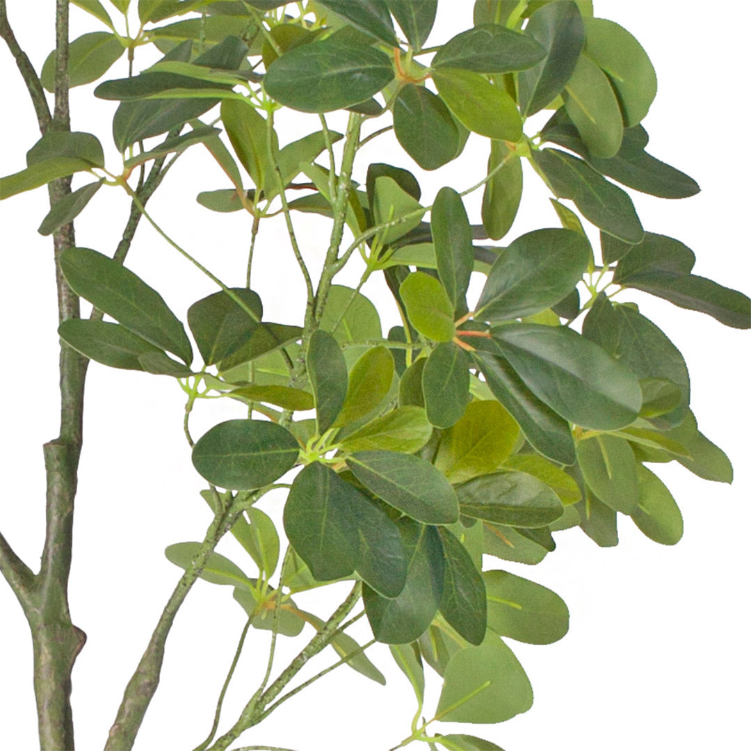 160cm Schefflera Artificial Plant