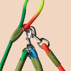 220cm Rainbow Multifunction Pet Leash