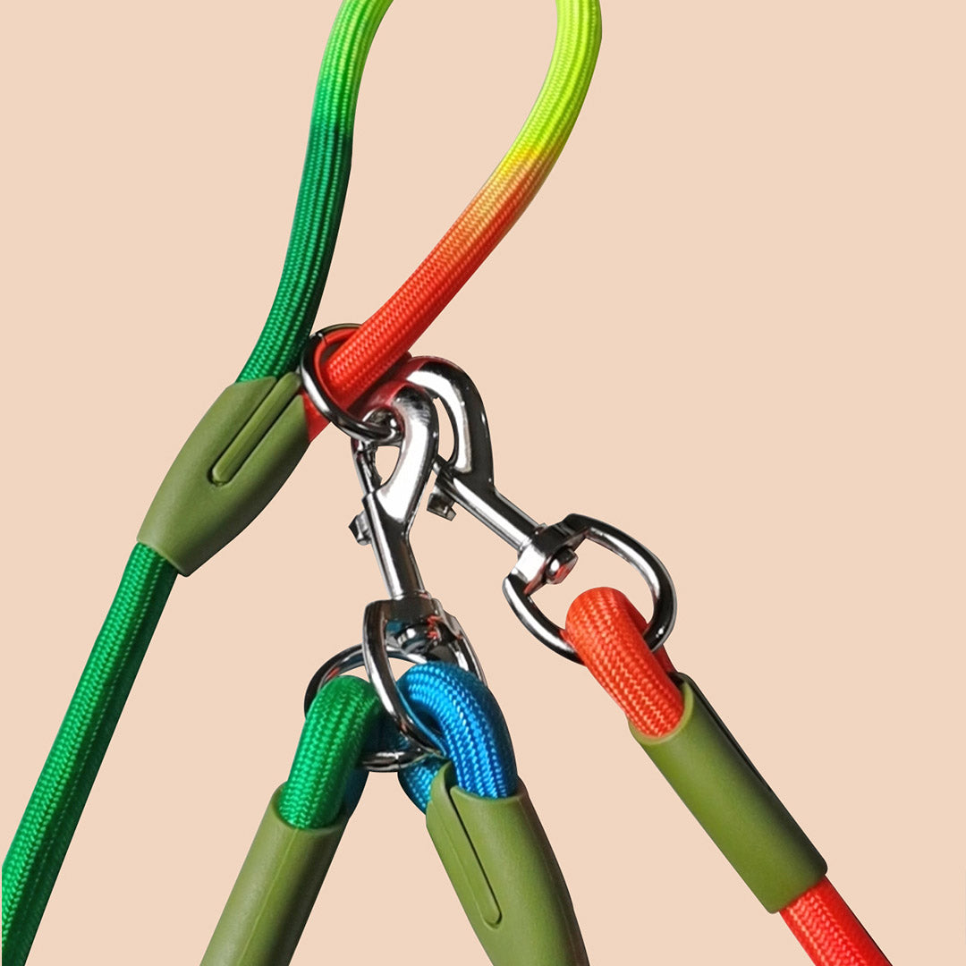 220cm Rainbow Multifunction Pet Leash